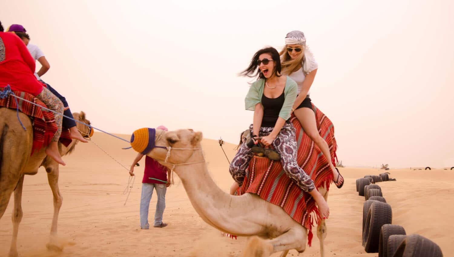 dubai-camel_rides 2024